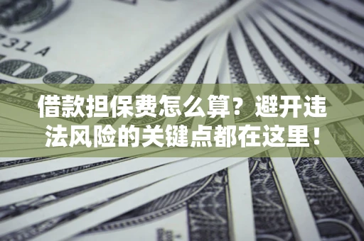 济南借款担保费怎么算？避开违法风险的关键点都在这里！