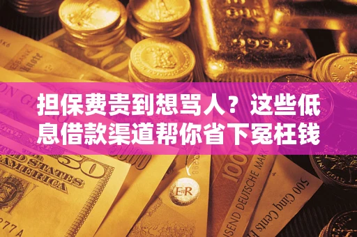 济南担保费贵到想骂人？这些低息借款渠道帮你省下冤枉钱