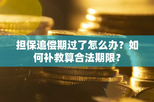 济南担保追偿期过了怎么办？如何补救算合法期限？
