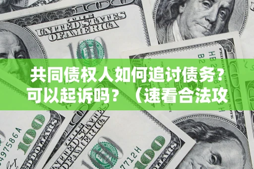 济南共同债权人如何追讨债务？可以起诉吗？（速看合法攻略）