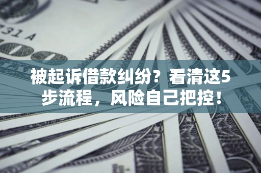 济南被起诉借款纠纷？看清这5步流程，风险自己把控！